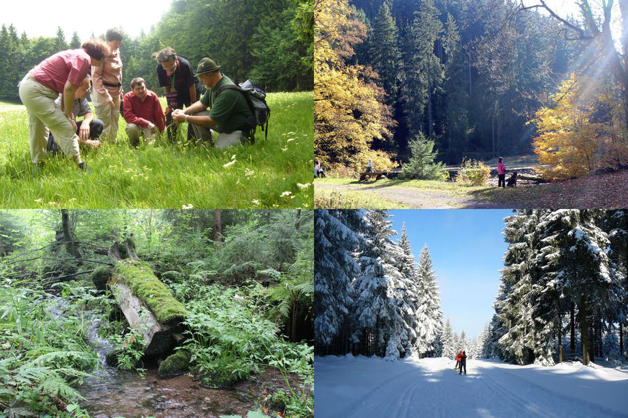 Bild vergrößern: oben: Wander- und Sitzgruppe im Vessertal, unten: Wildnis- und Skitour im Vessertal