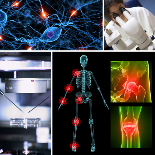 Bild vergrößern: Technologiefeld Medizintechnik / Biotechnologie